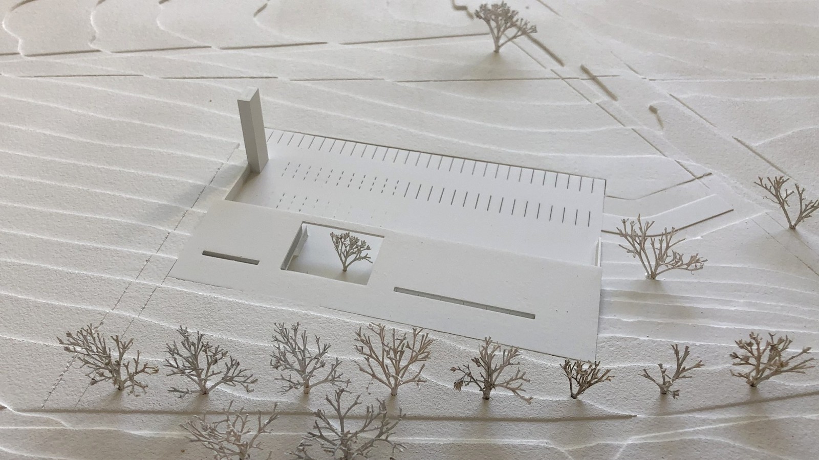 Leingarten ©  Frank Heinz