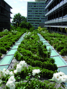 © LATZ RIEHL PARTNER