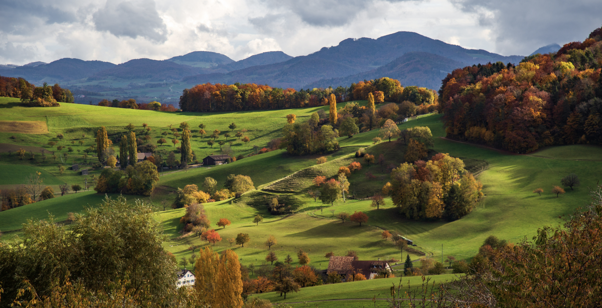 Baselland Basel-Landschaft | Basel-Stadt | Architekturforum Freiburg