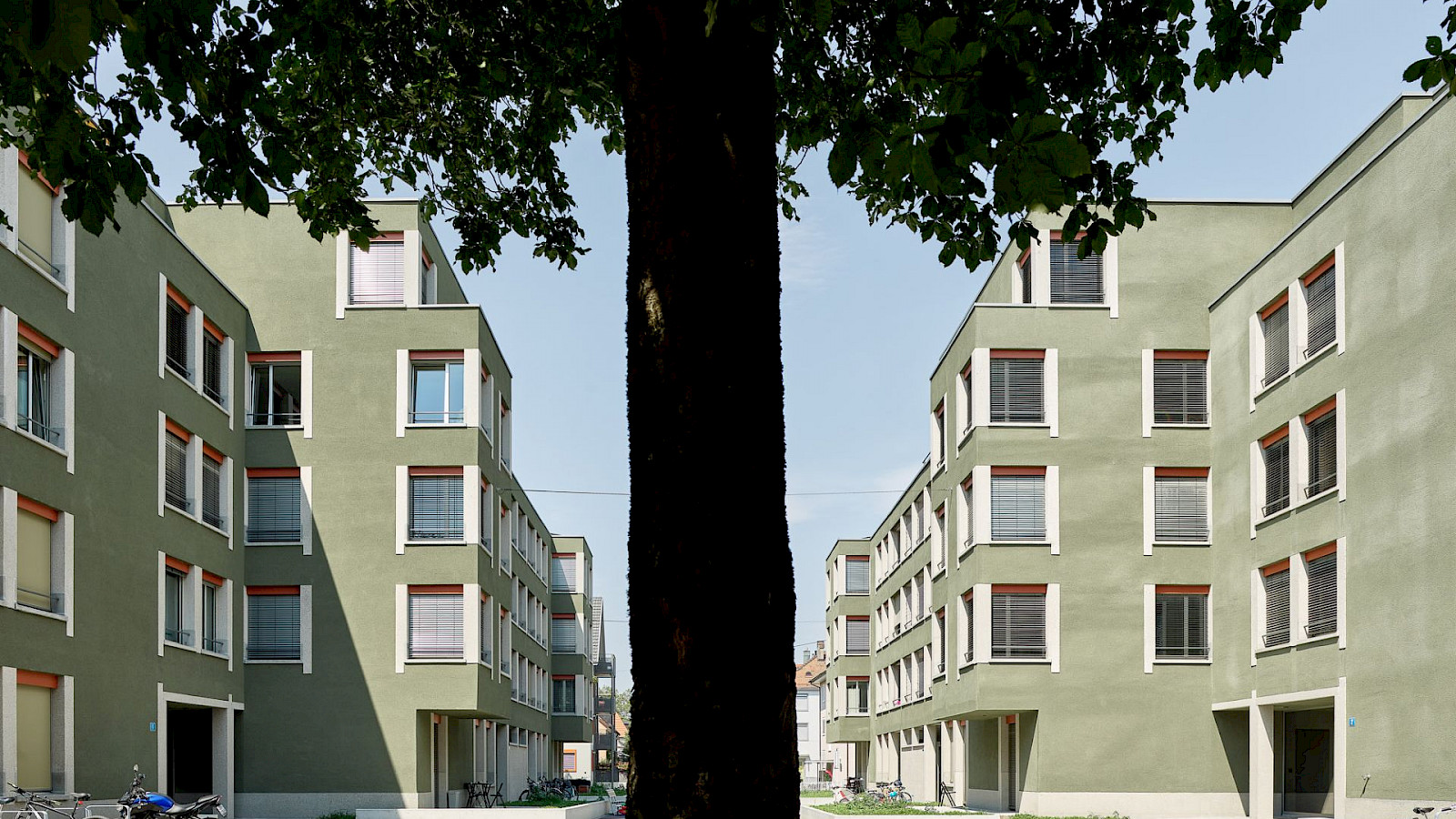 Wohnhäuser Friedackerstrasse, Zürich (Foto: © Philip Heckhausen)
