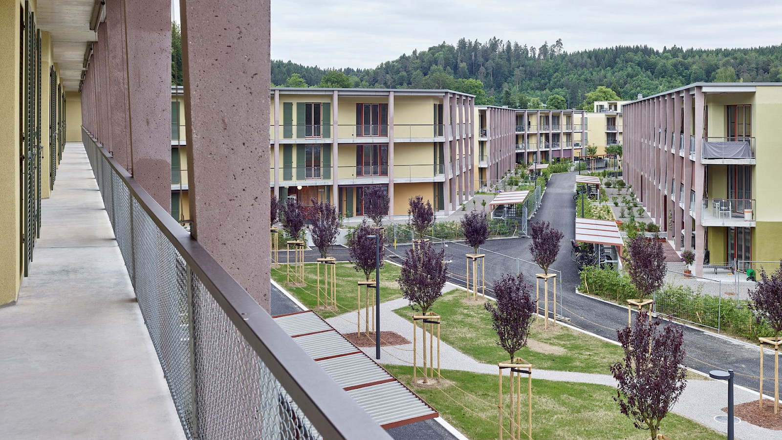 Siedlung Oberzelg, Winterthur-Sennhof (Foto: © Philip Heckhausen)
